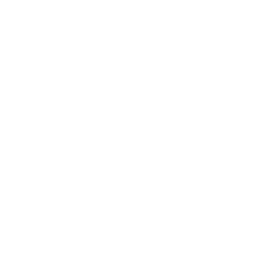 Logo All Star Perche by SCC