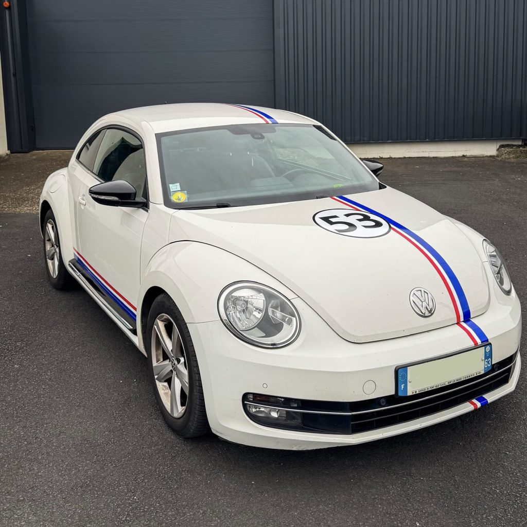 IMG_7994-2.jpg